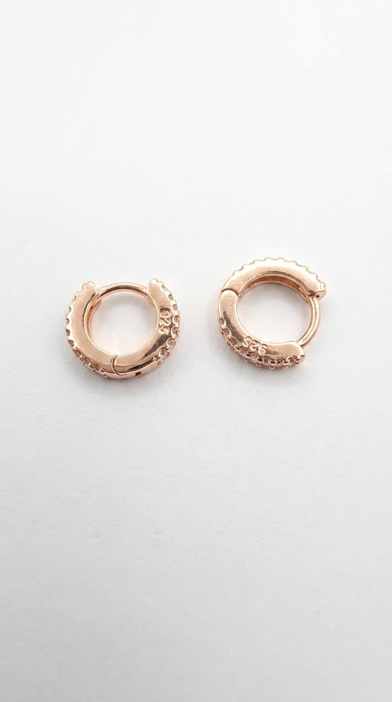 Eternal Sparkle Eternity Hoops